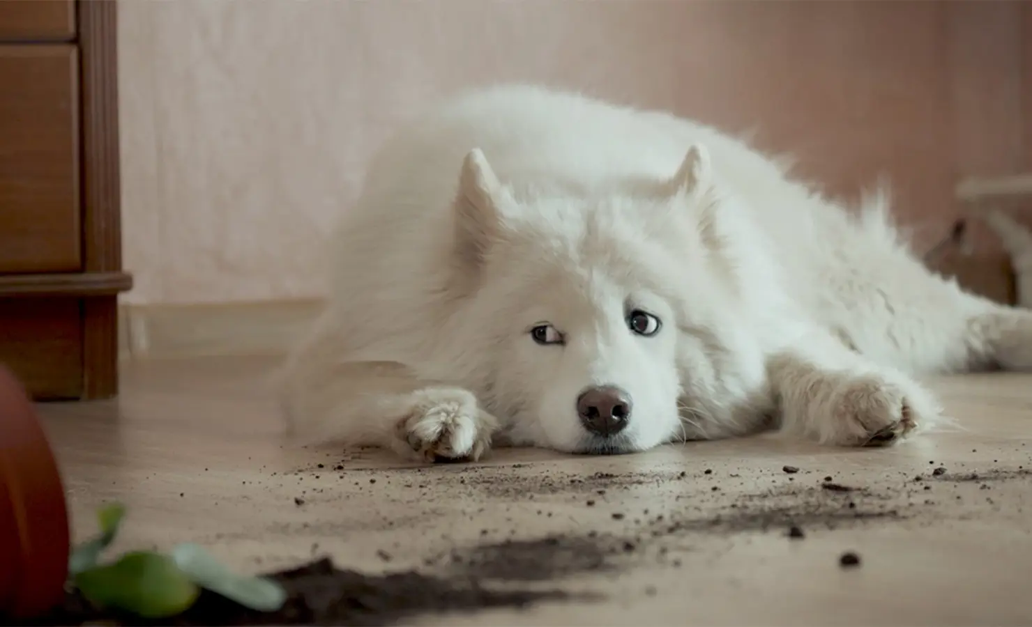 Emlakjet Jetsat Website Ekran Görüntüsü